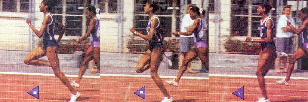 alergari Perez 7 9